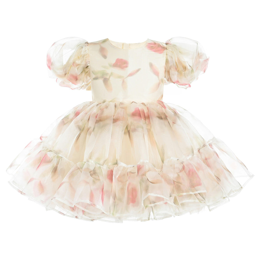 Cream Elanora Floral Organza Dress