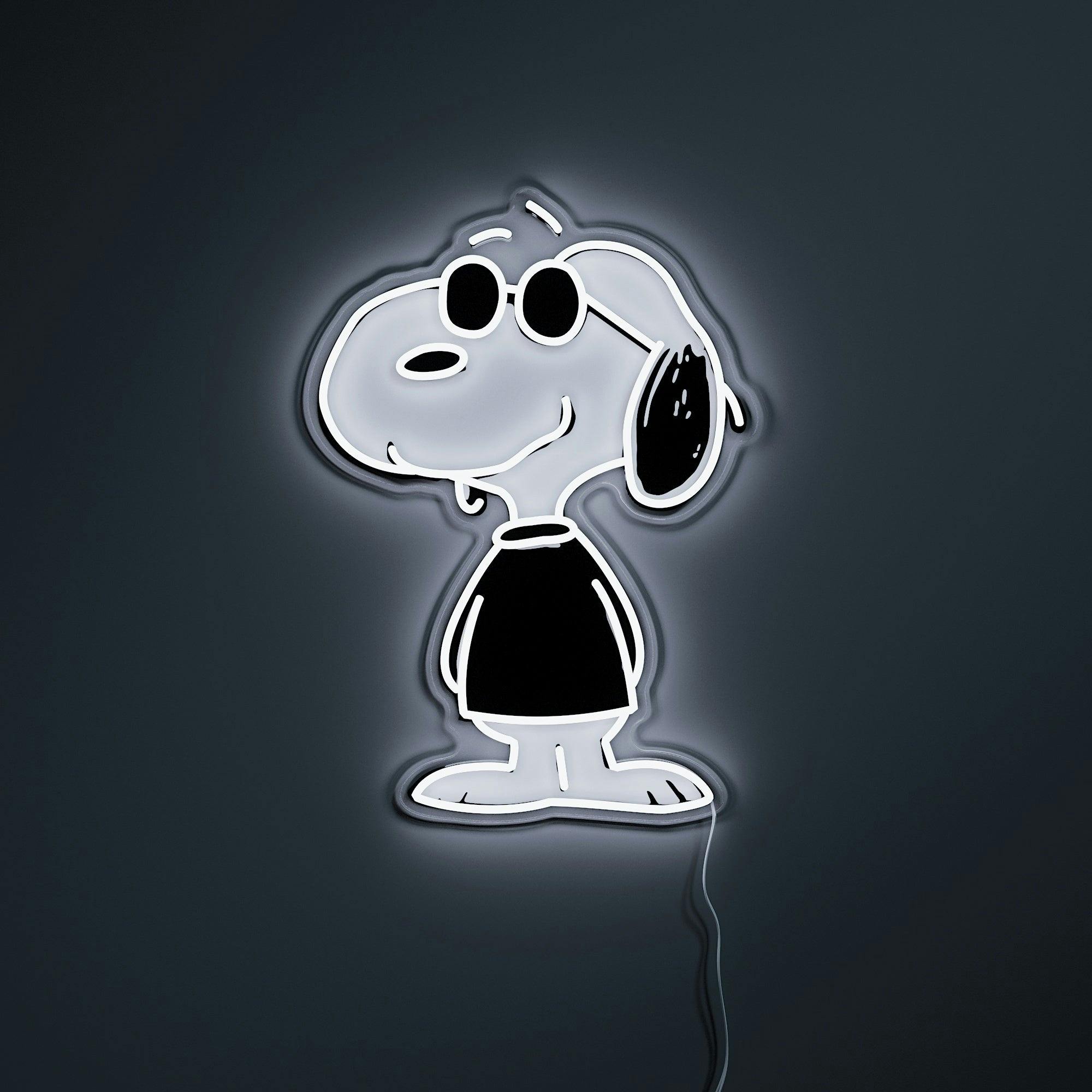 Snoopy 75th Anniversary