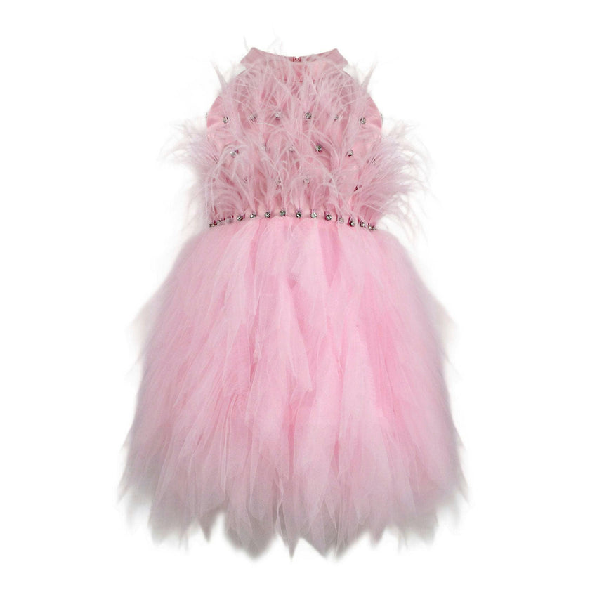 Pink Princess Feather Dress