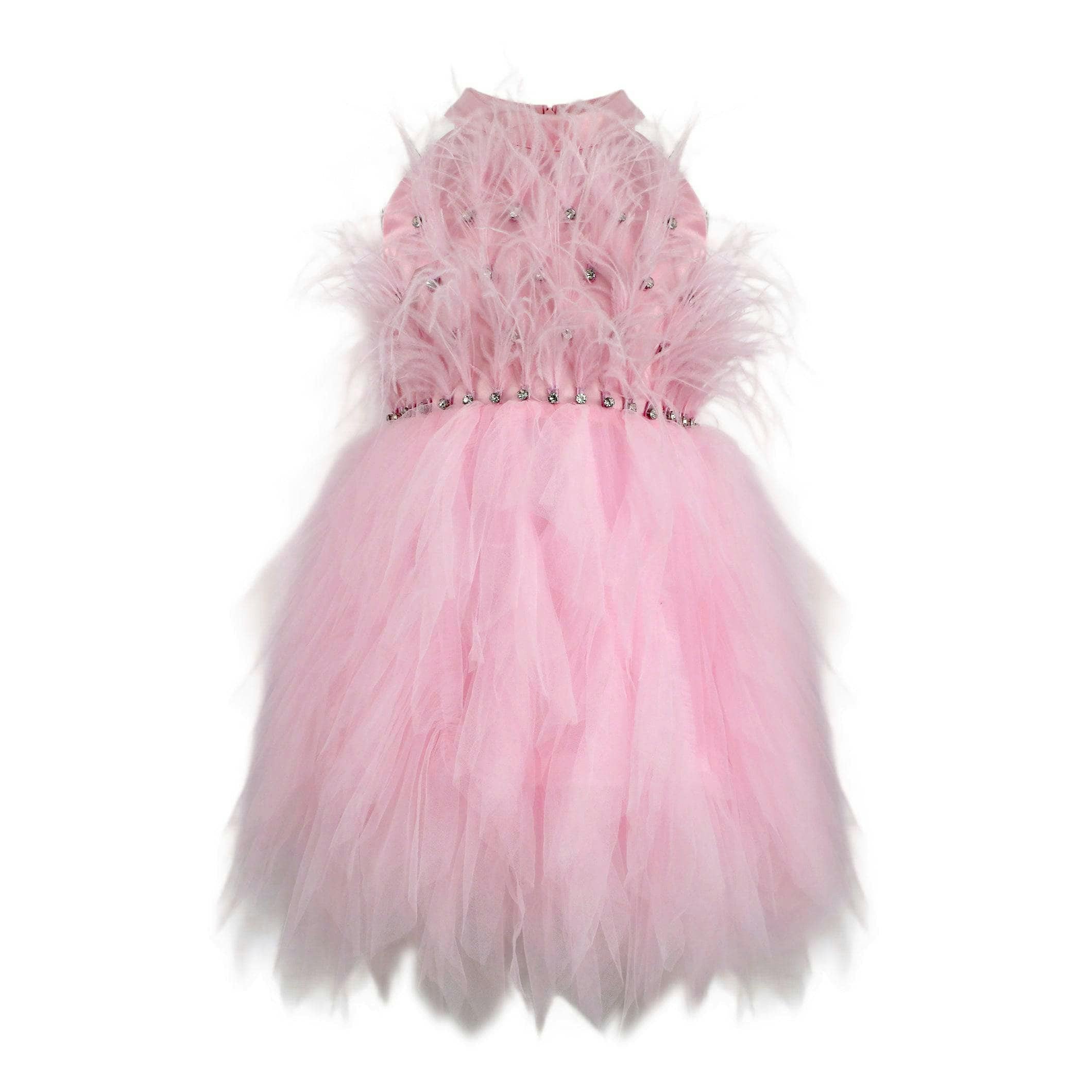 Pink Princess Feather Dress