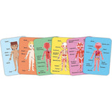 Hape: Human Body Magnetic Puzzle - 68pc