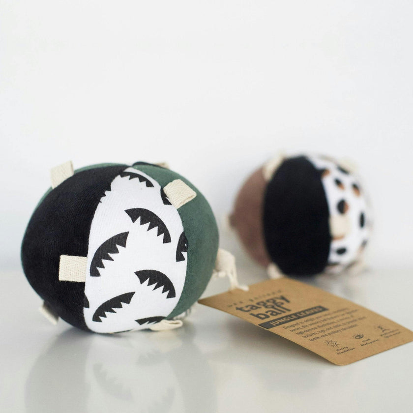 Taggy Ball with Rattle