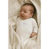 Bebe Pointelle Footie