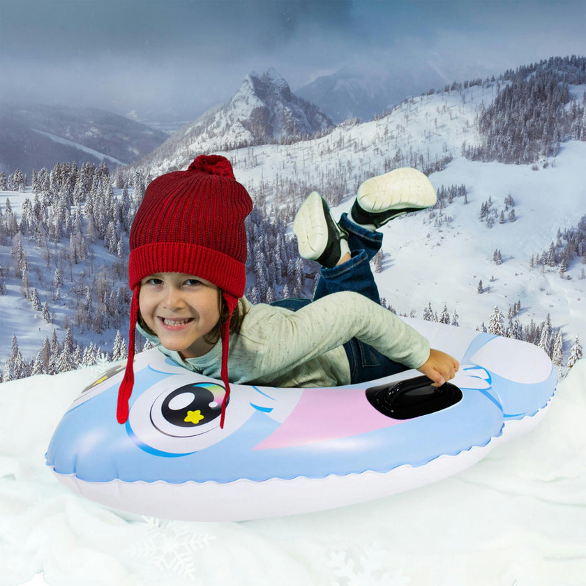 Snow Snow Sled