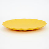 Small Multicolor Reusable Bamboo Plates