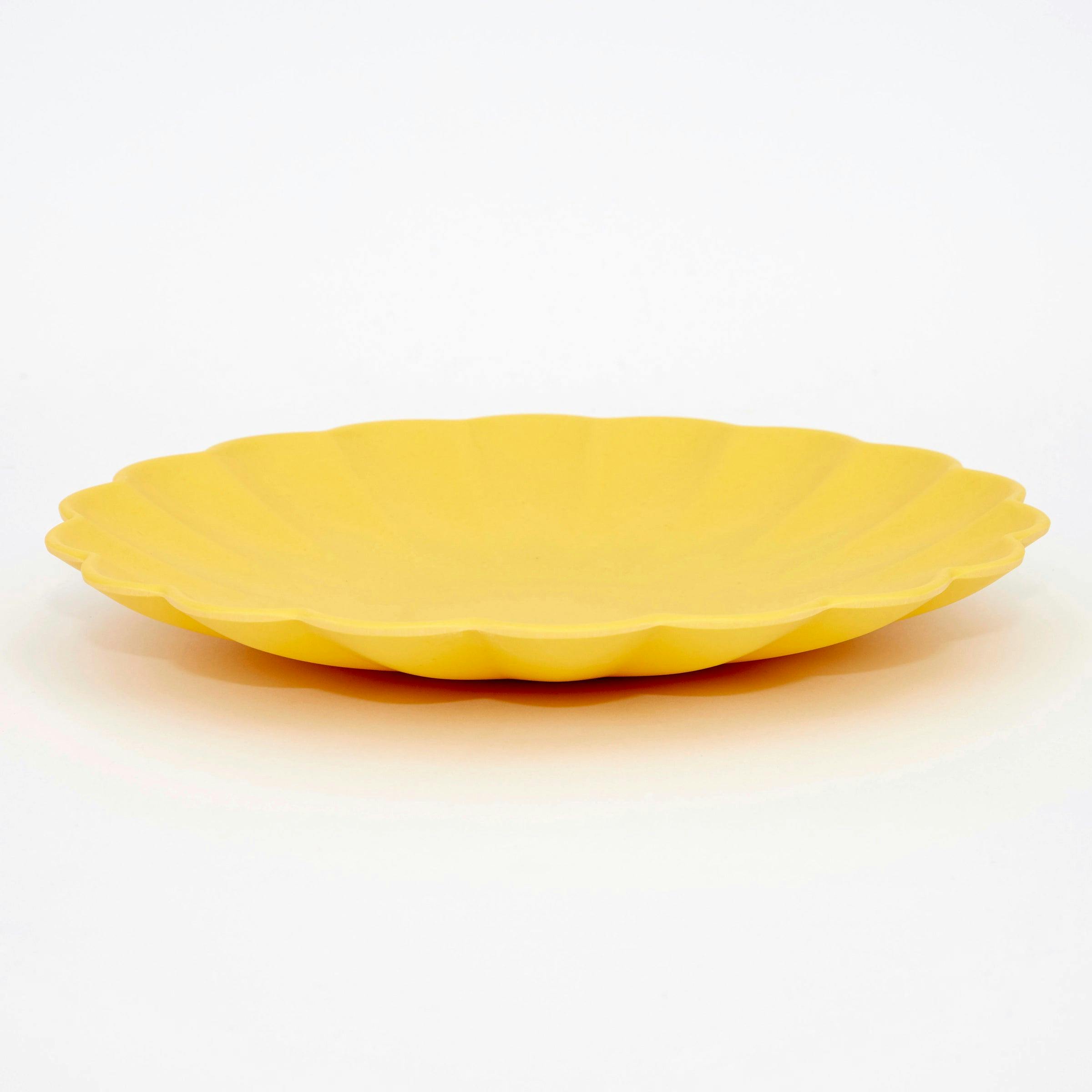 Small Multicolor Reusable Bamboo Plates