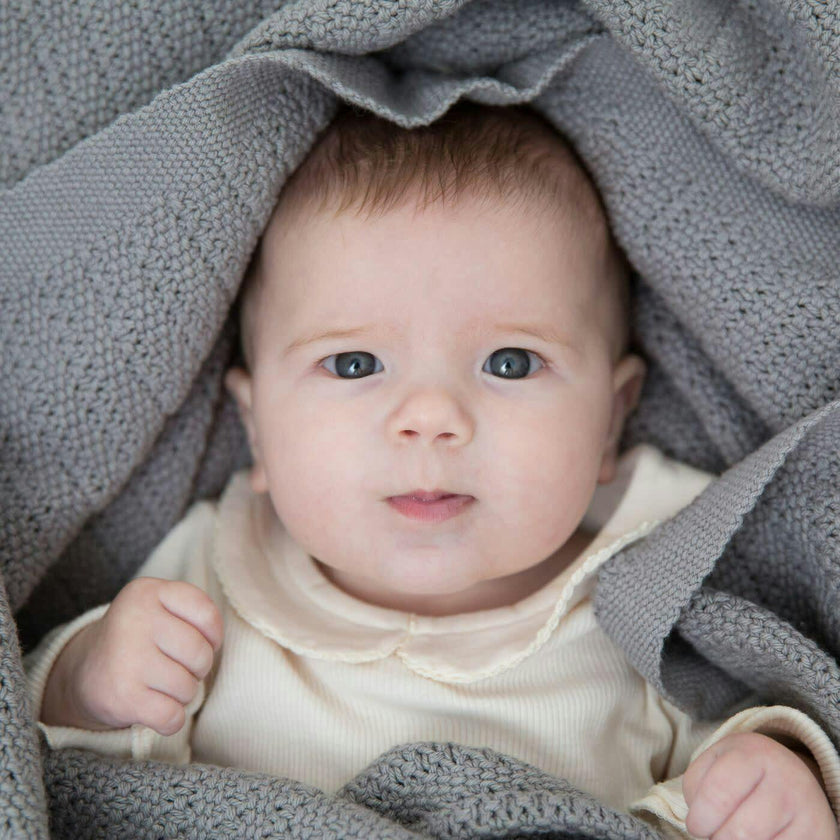 Zachary Comforter with Swaddles and Blanket Baby Gift