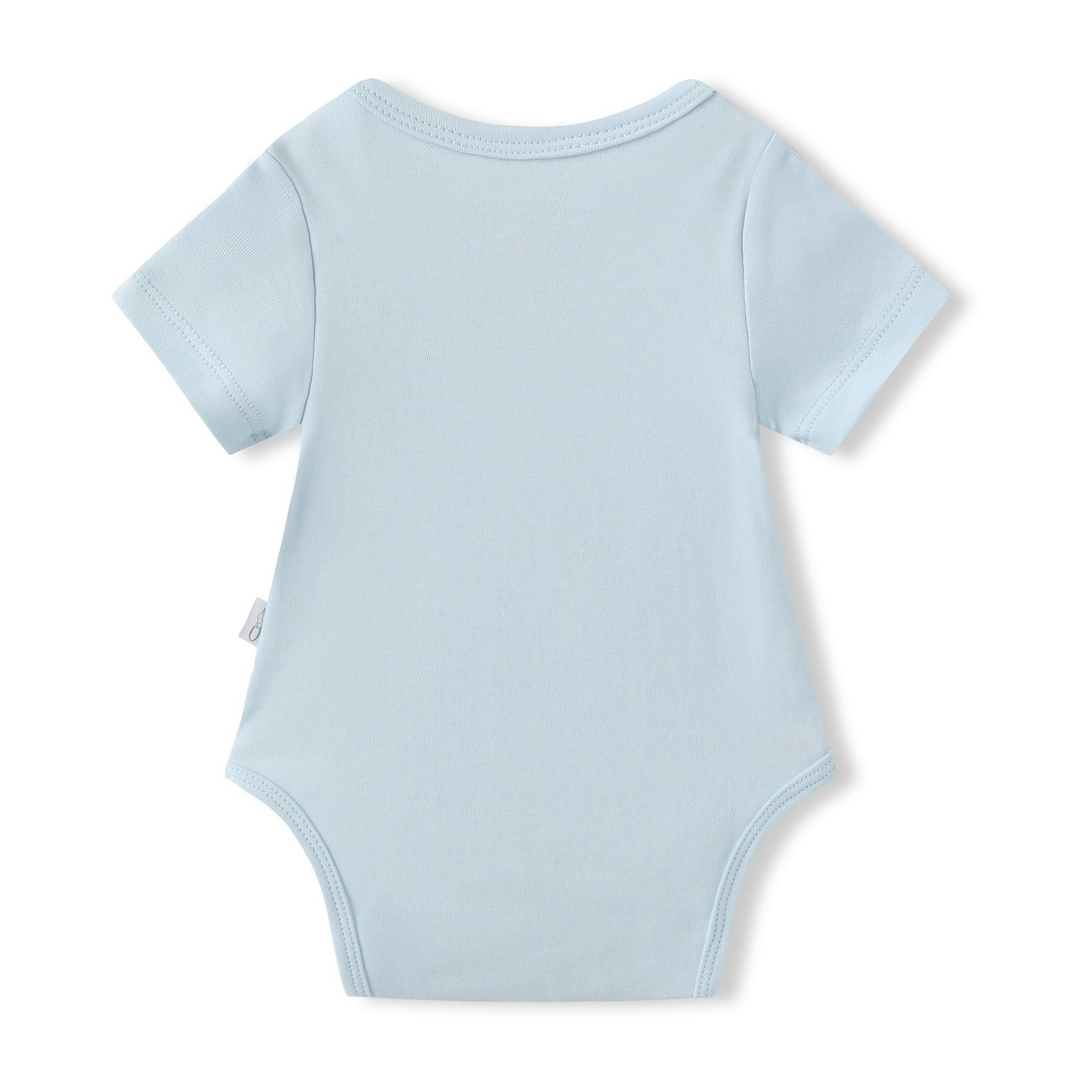 Baby Bodysuit 2-Pack - Blue