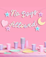No Boys Allowed Banner - iridescent foil banner