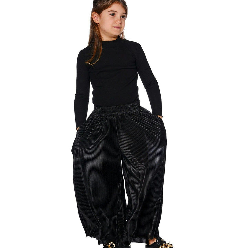 Wide Leg Pleated Pants