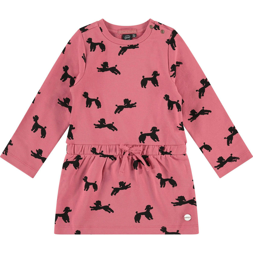 Long Sleeve Dress