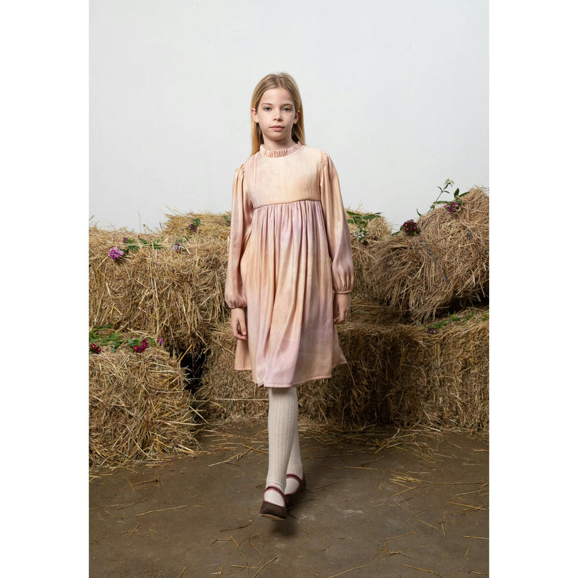 Elizabeth Dress, Multi