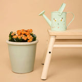 Mini Watering Can