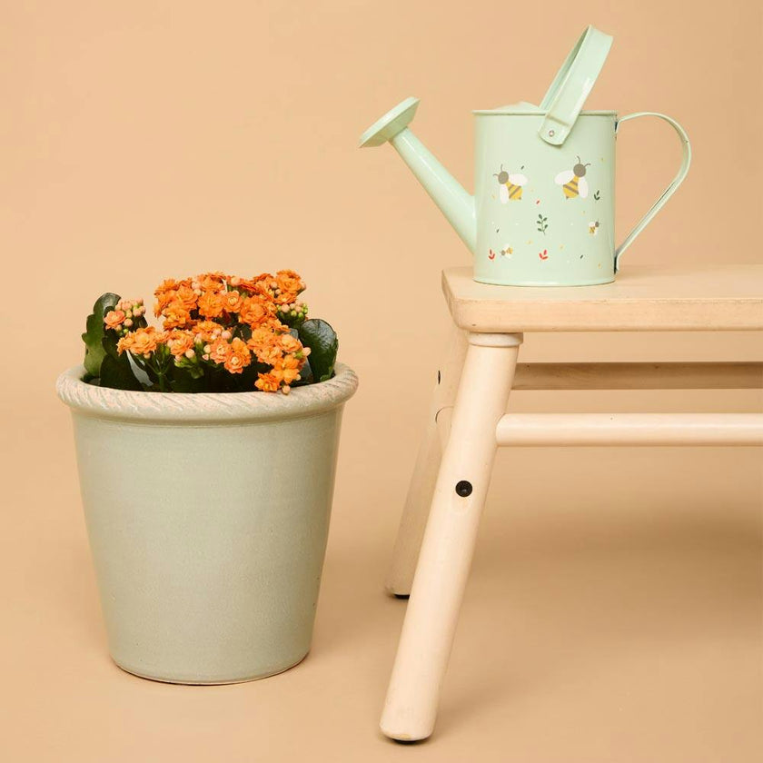 Mini Watering Can