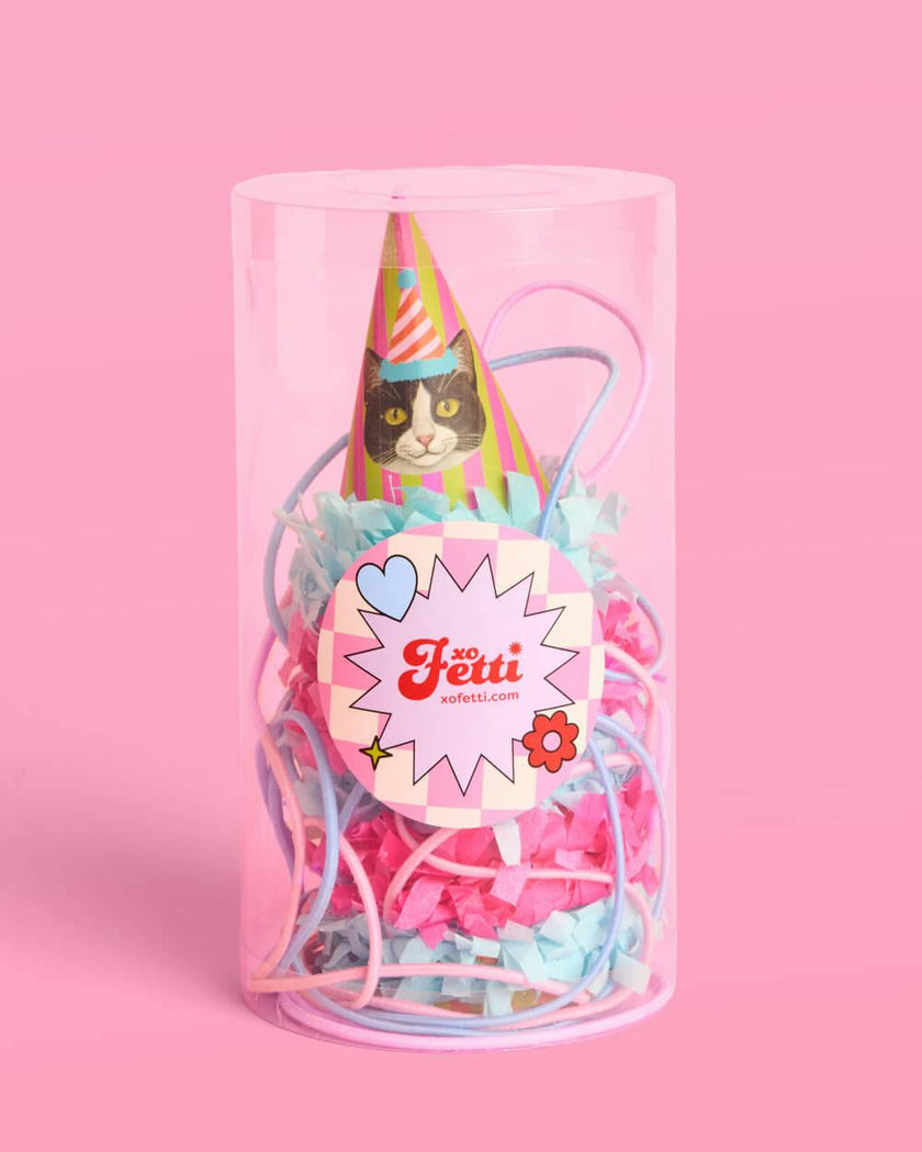 Cat Mini Party Hats - 10 paper hats