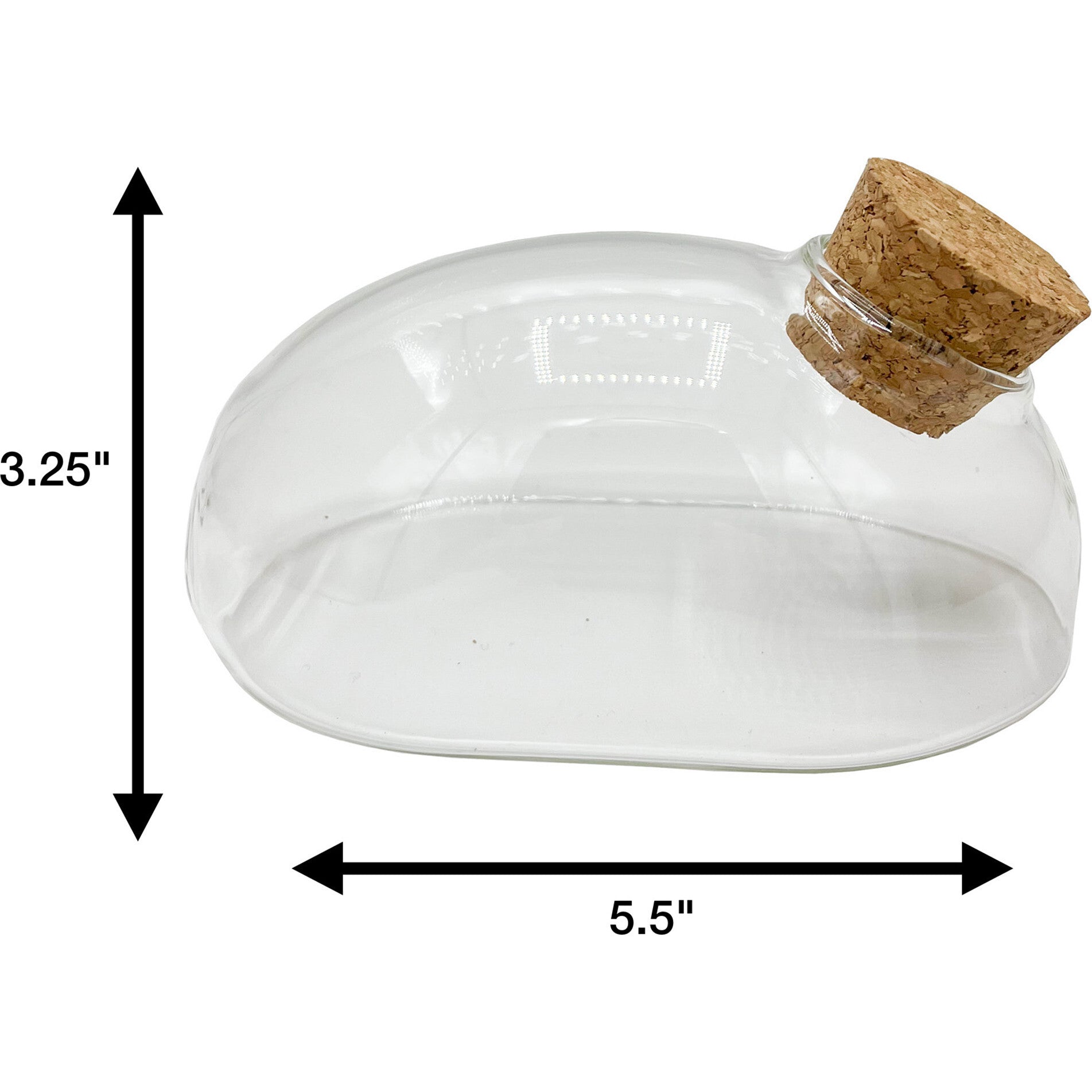 Glass Terrarium:
