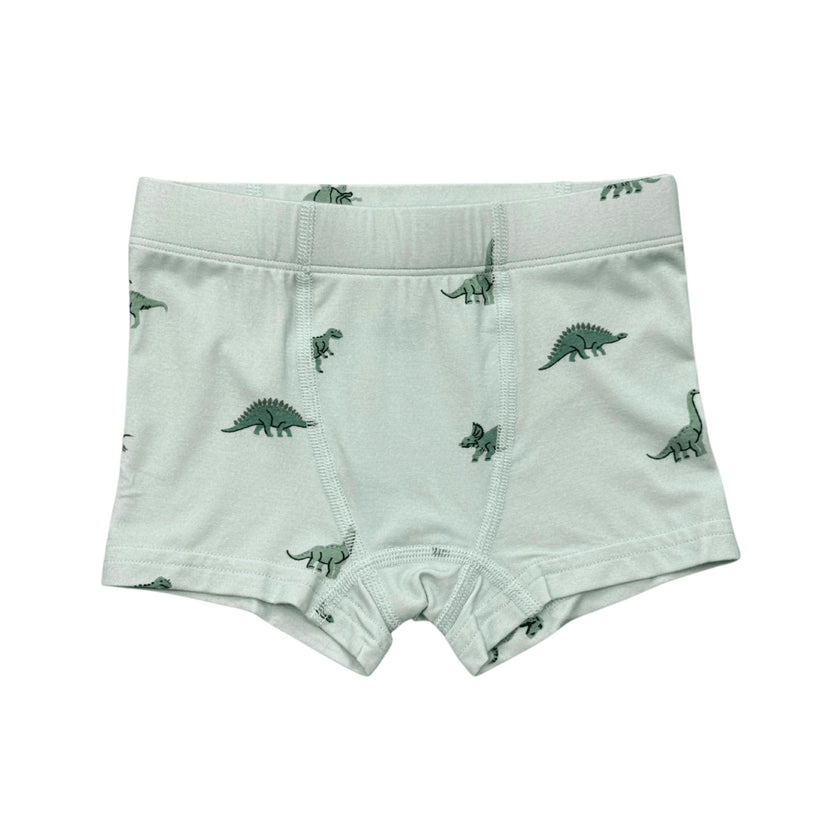 Boys Boxer in Dinosaur