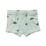 Boys Boxer in Dinosaur