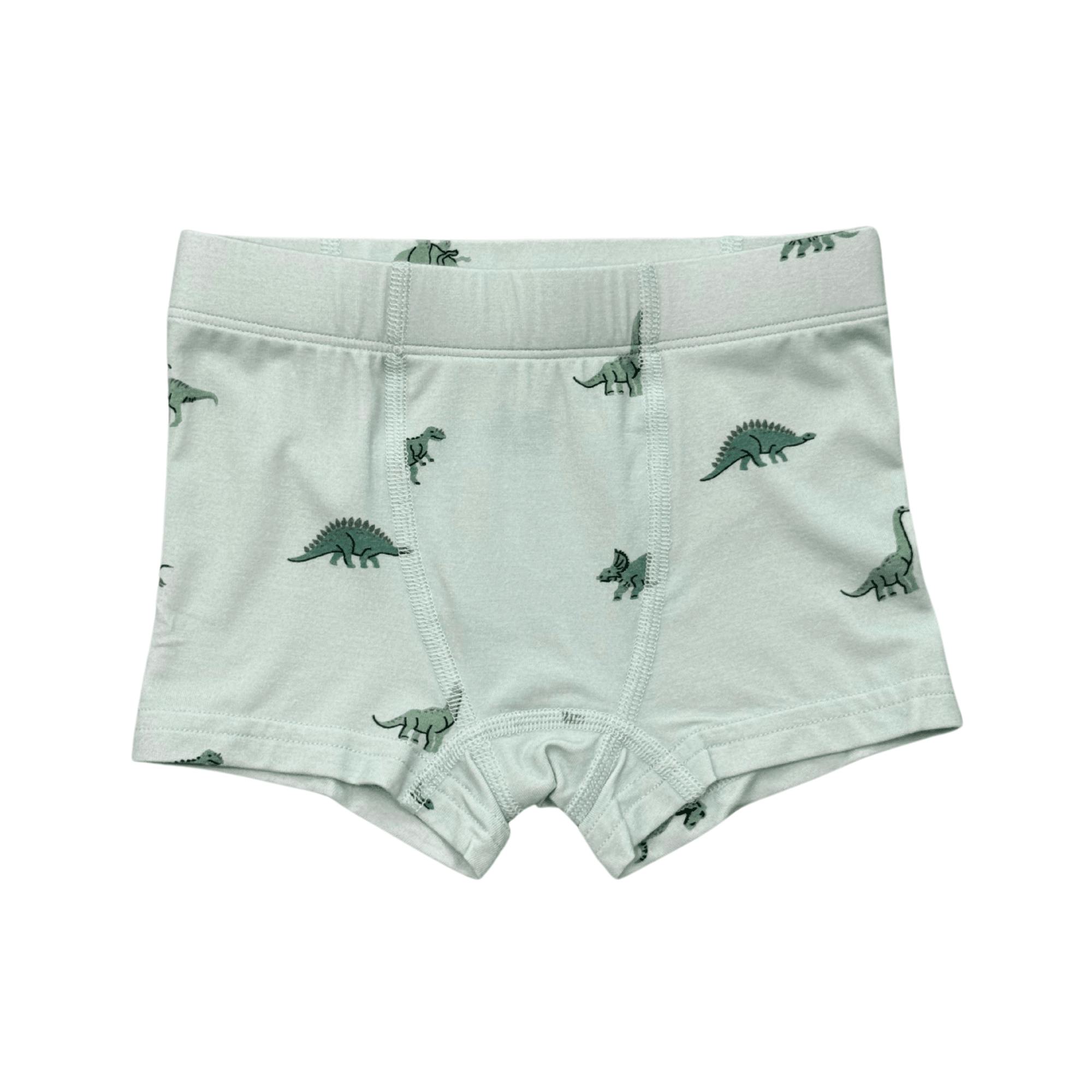 Boys Boxer in Dinosaur