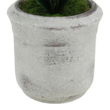 Artificial 2-Stem Phalaenopsis White Orchid