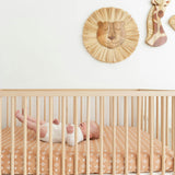 Kendi Lion Safari Wooden Wall Decor