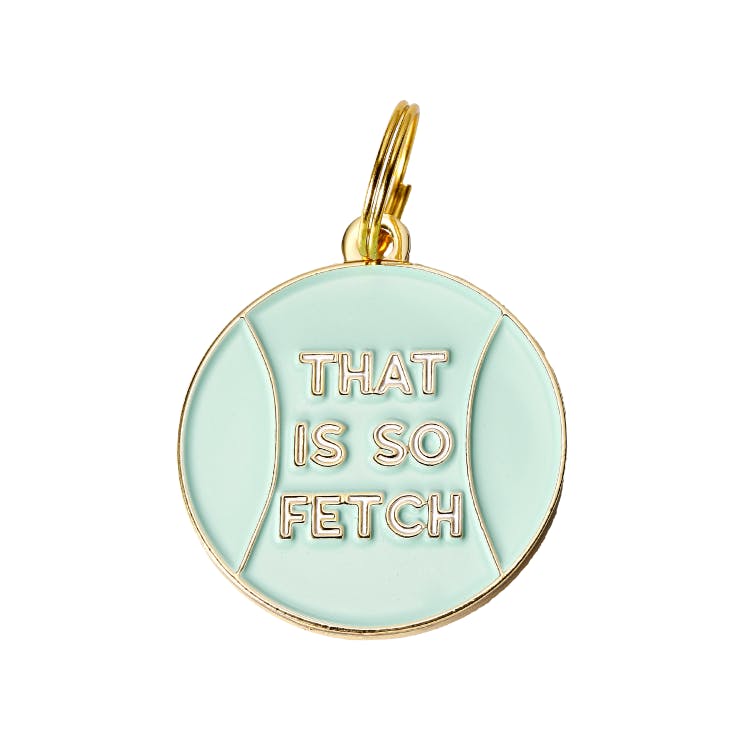 That's So Fetch Pet ID Tag
