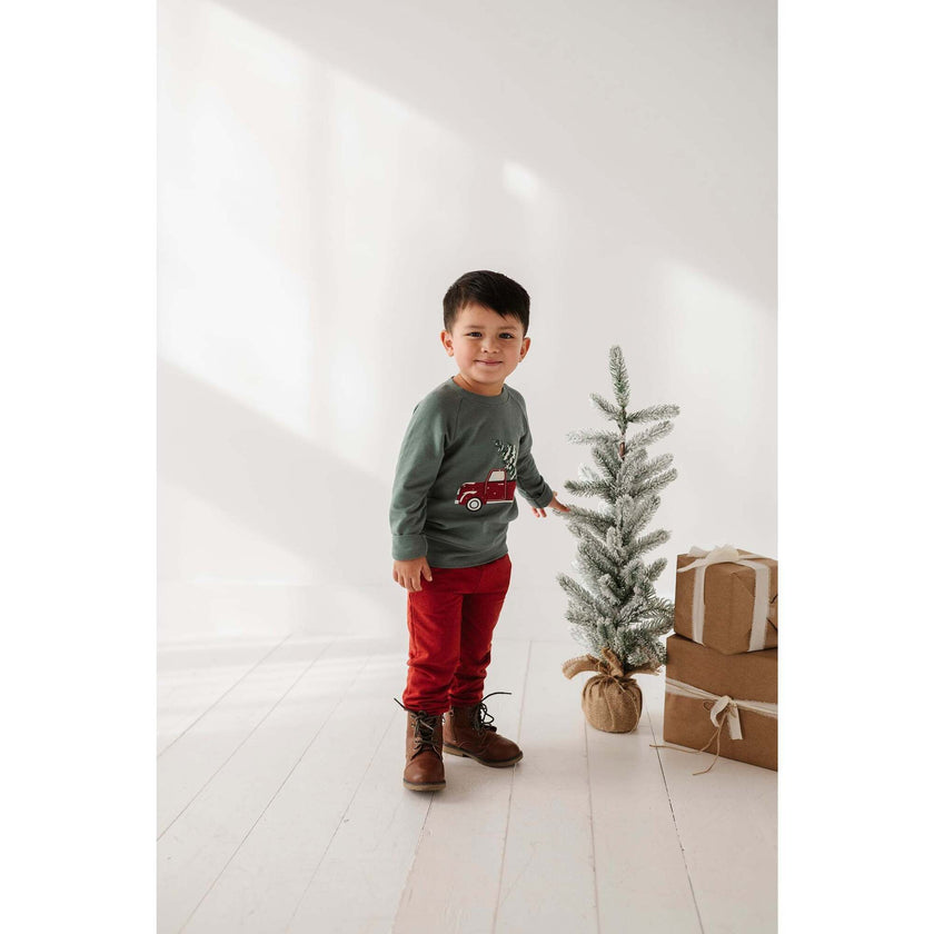 Raglan Sweatshirt Christmas Dogs