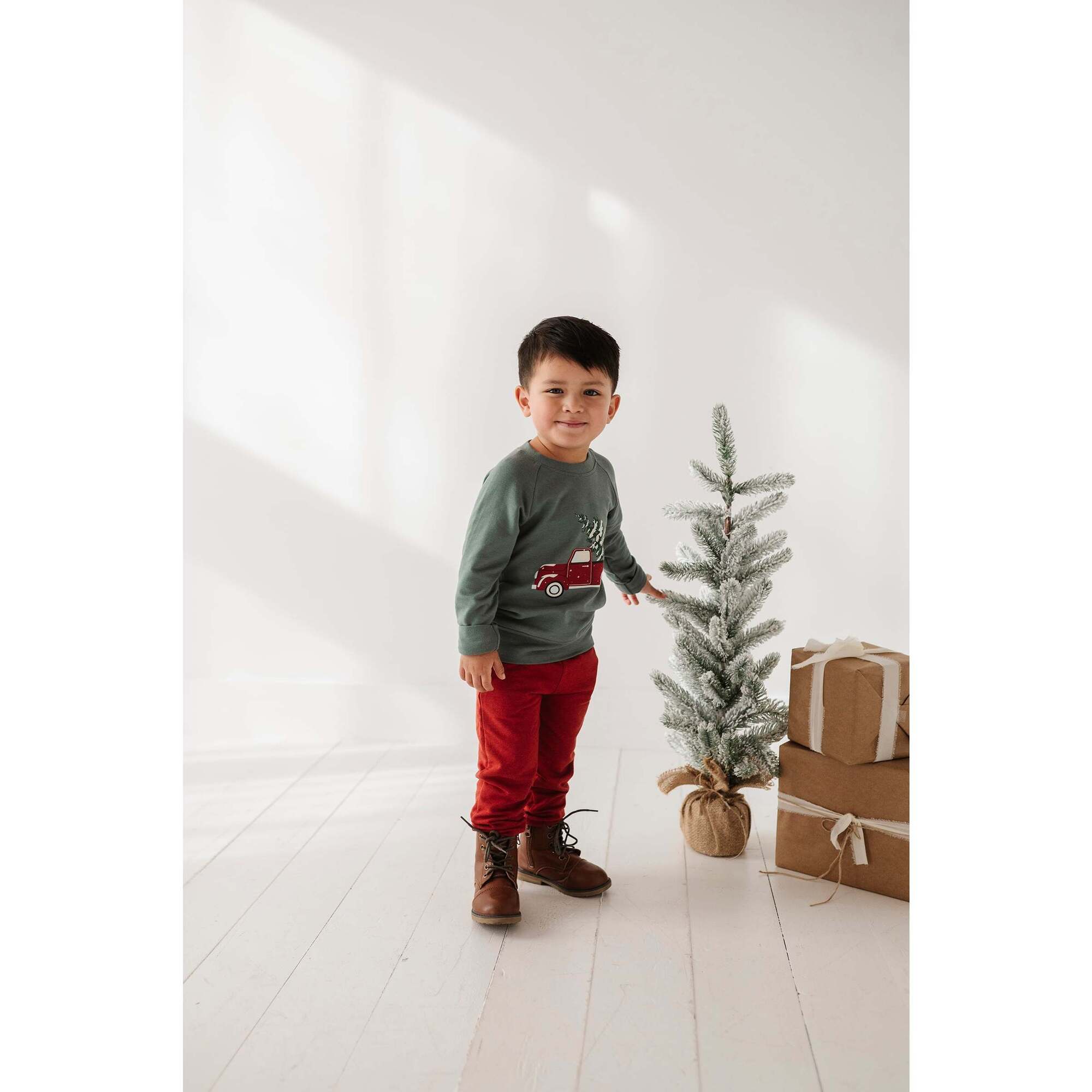 Raglan Sweatshirt Christmas Dogs