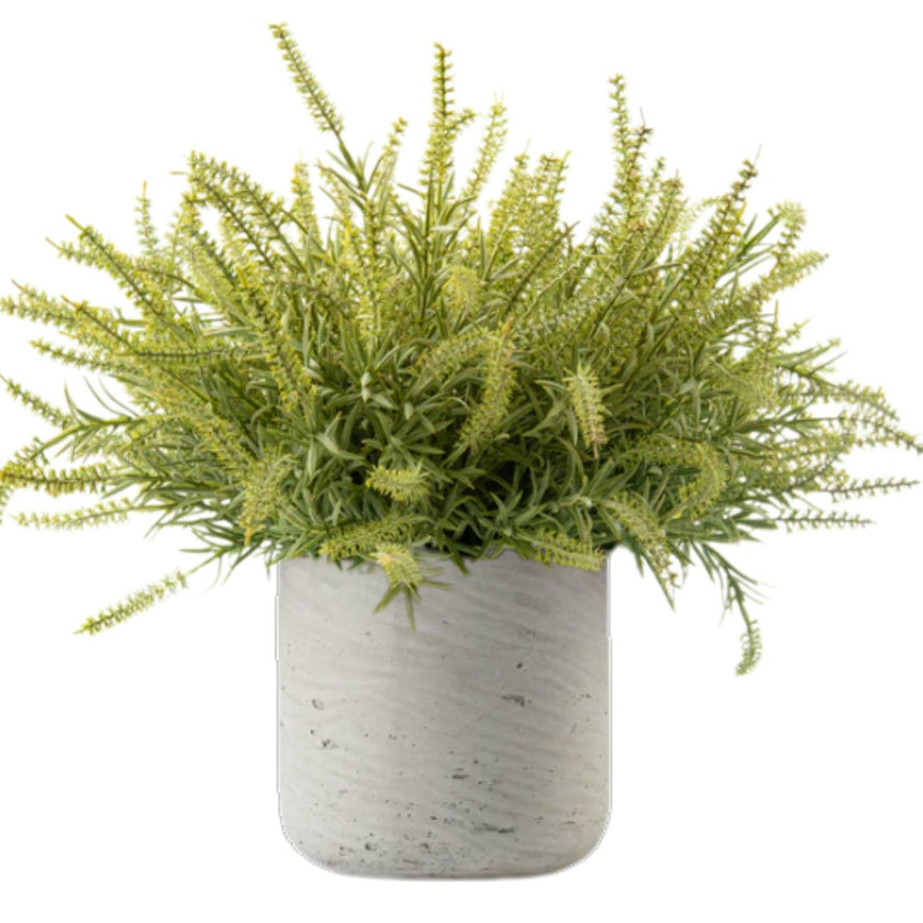 DH Ast Bush Floral