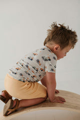 Boys Harem Shorts in Desert Mist