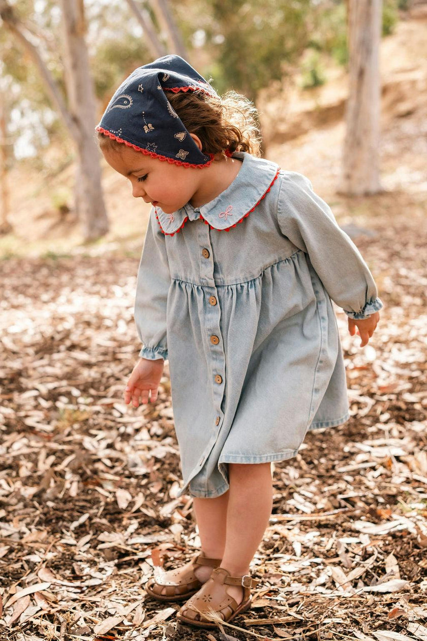 Clementine Dress in Denim Darling