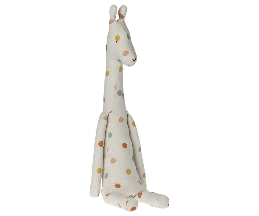 Giraffe, Big