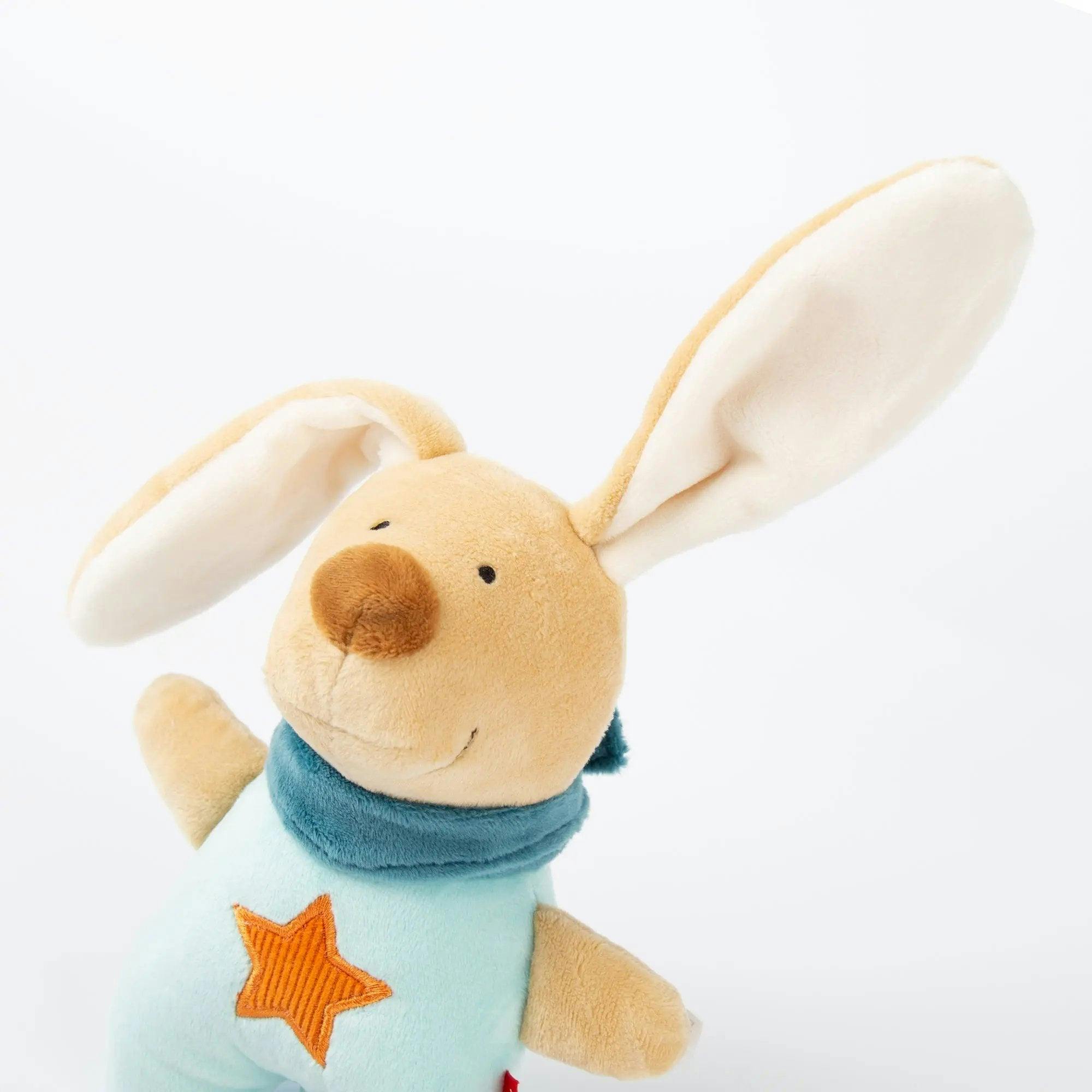 Mini Bunny Musical Toy