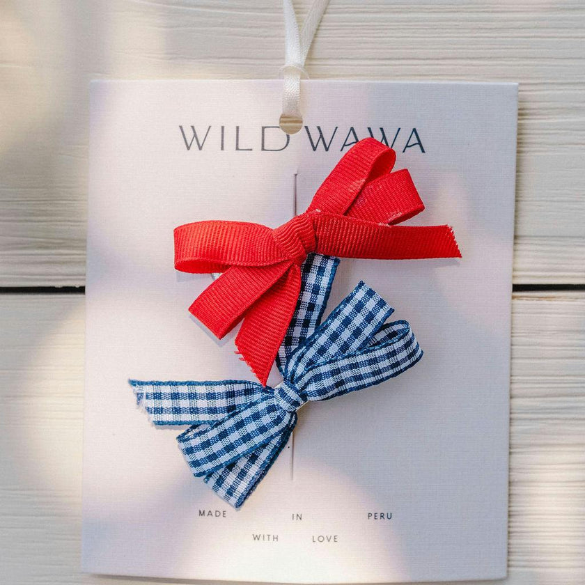 Bow Clip Set in Red/Blue