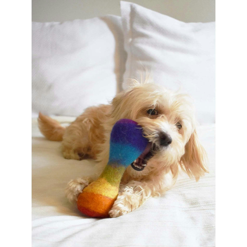 WOOL RAINBOW BONE, Multi