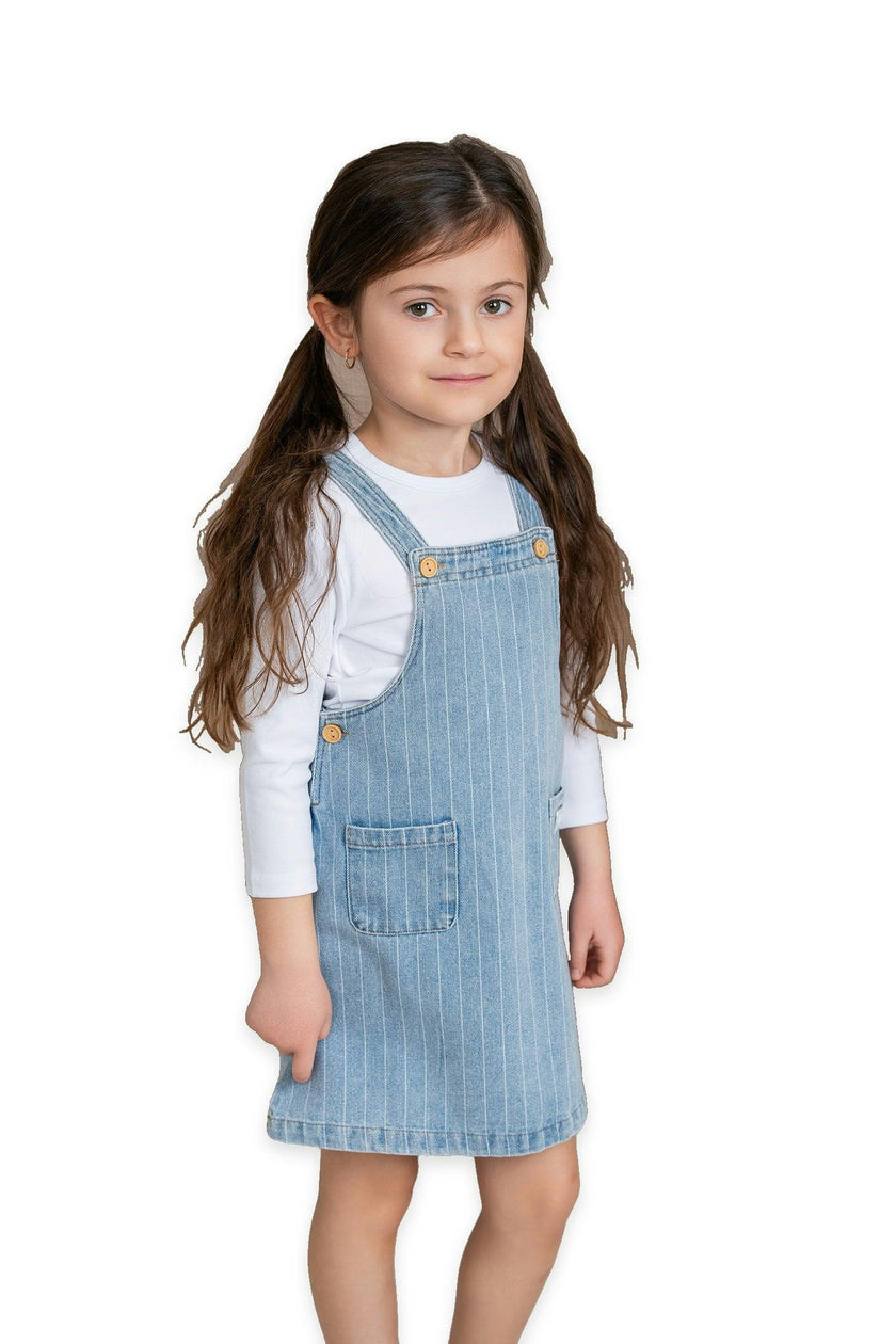 Stripe Denim Jumper