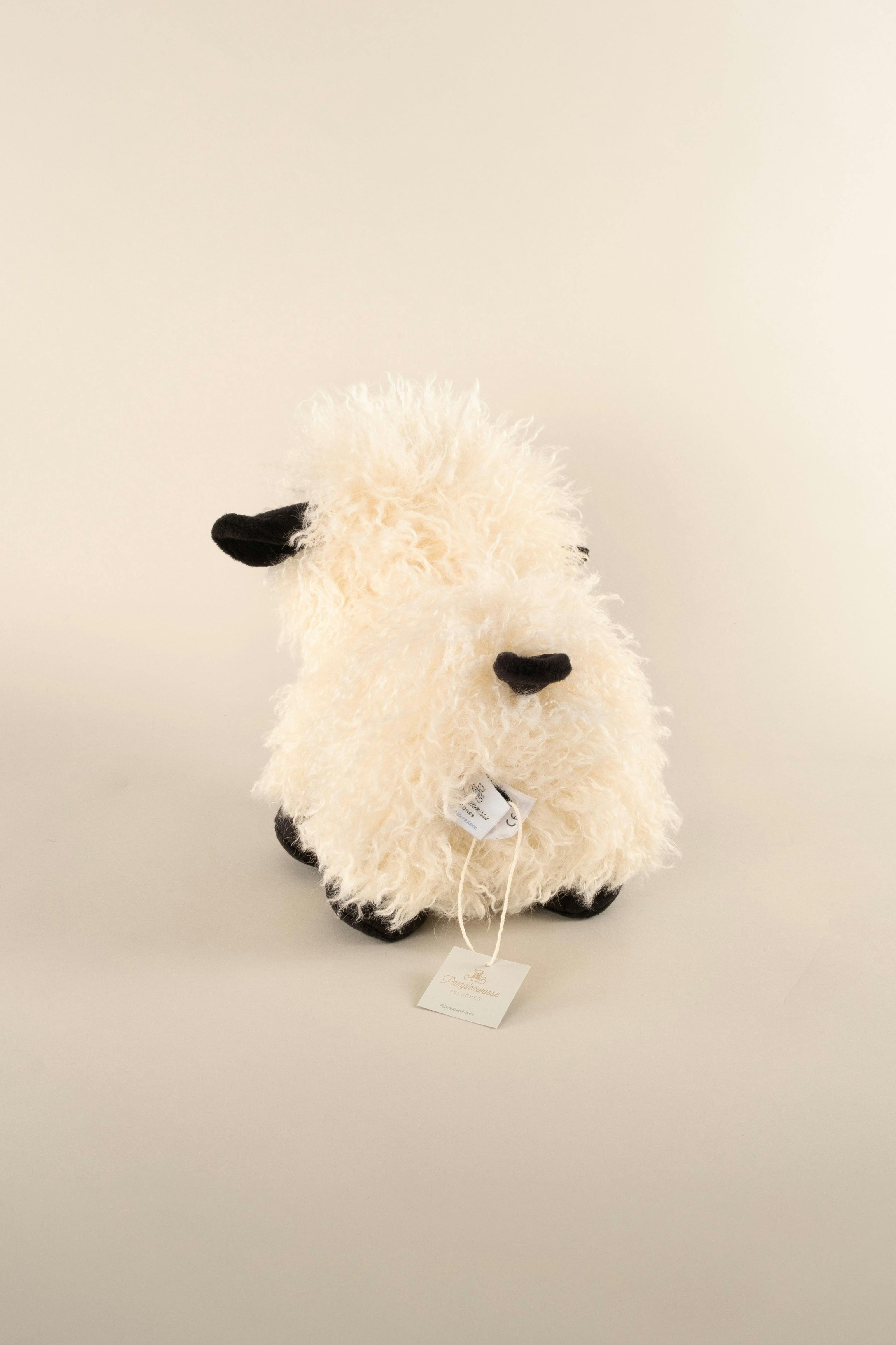 Melchior the Black-Nosed