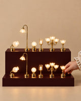 Premium Lighting · Collection