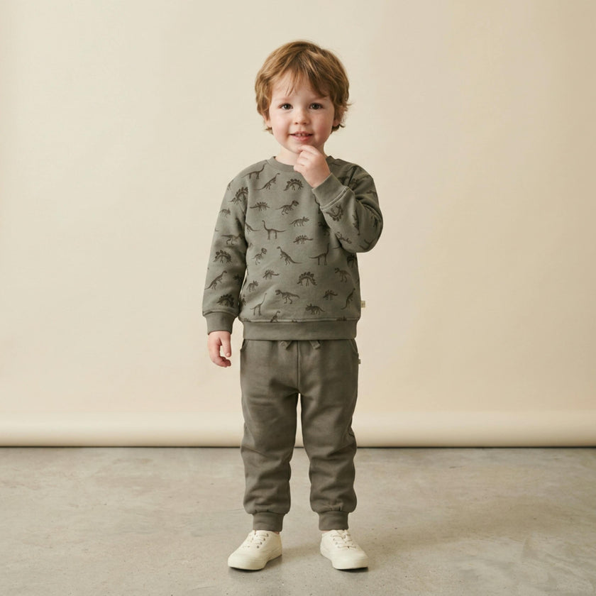 Organic Fleece Sweatshirt - Dino