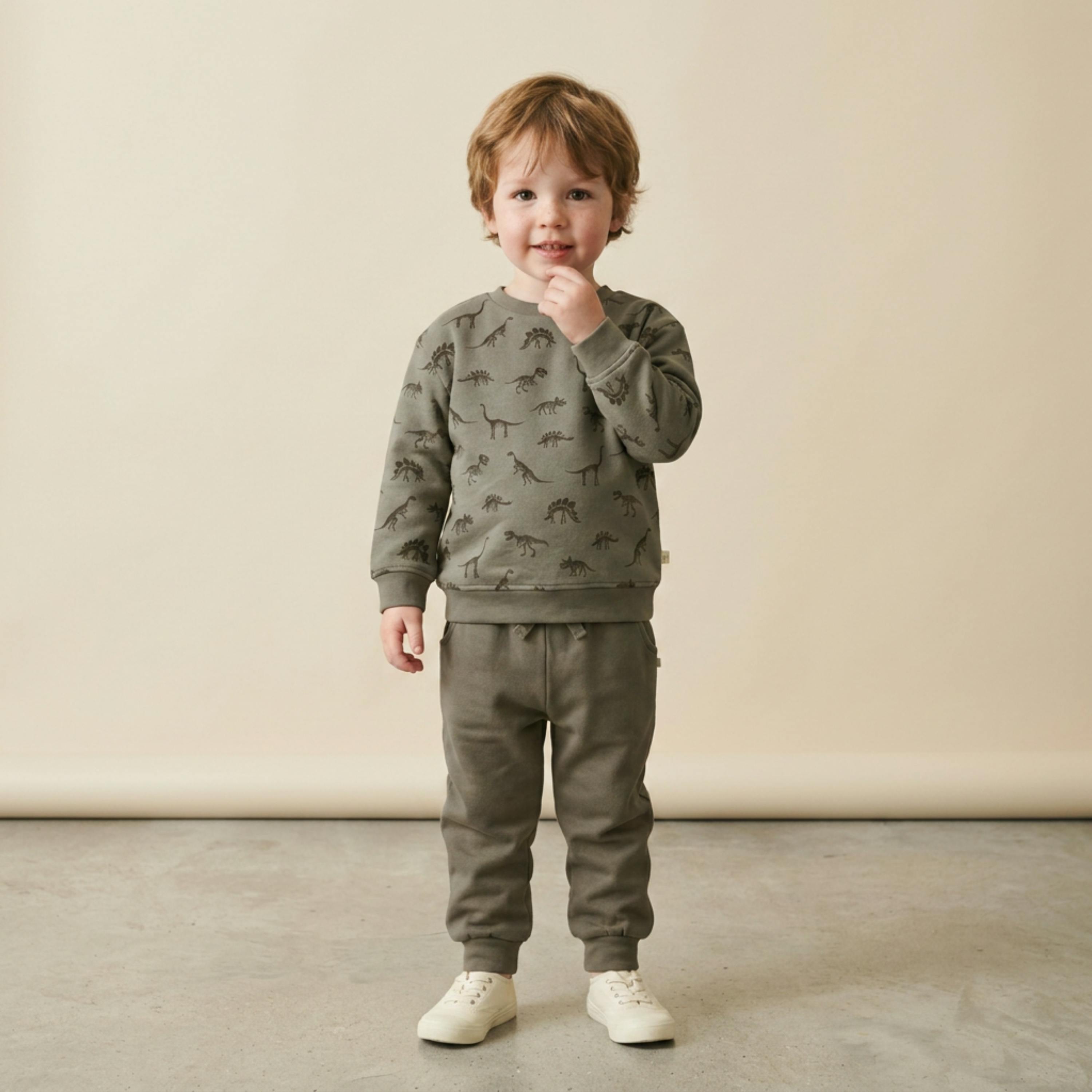 Organic Fleece Sweatshirt - Dino