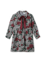 Printed Woven Elastic Waist Dress