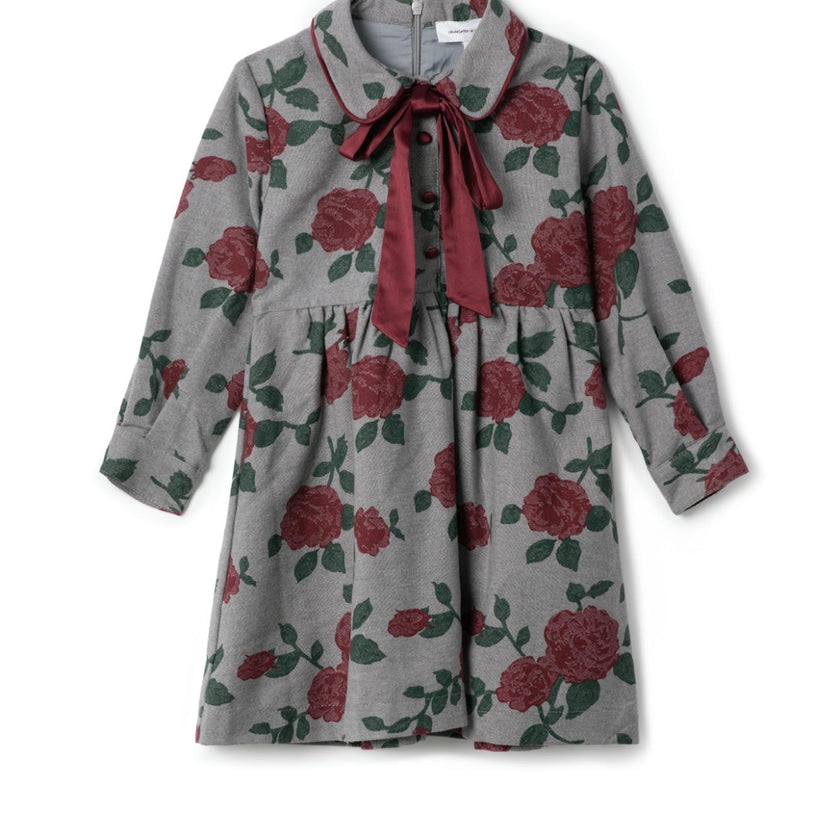 Printed Woven Dress