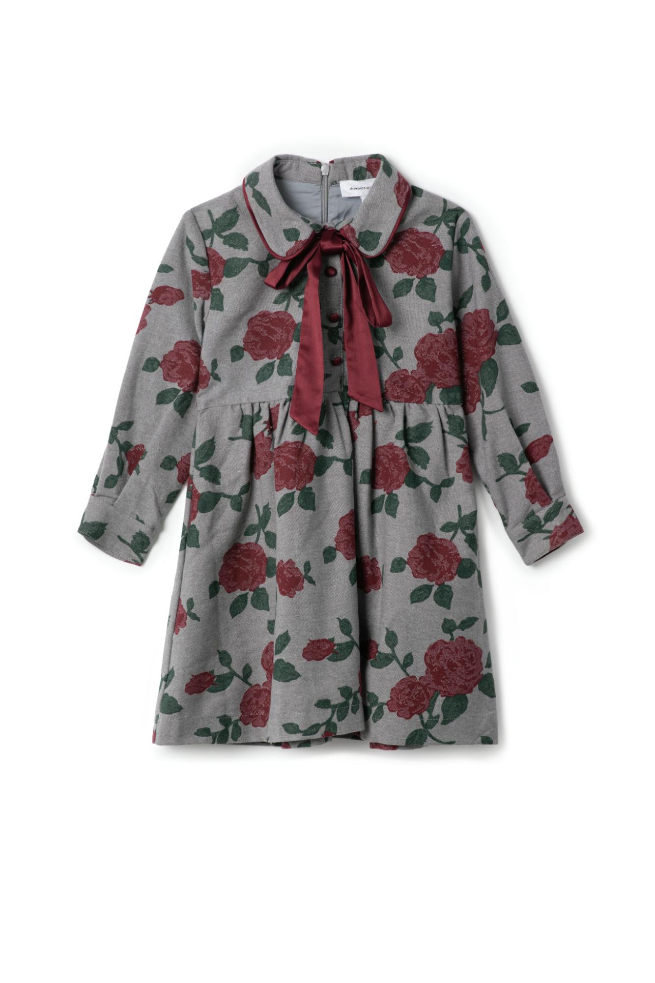 Printed Woven Elastic Waist Dress