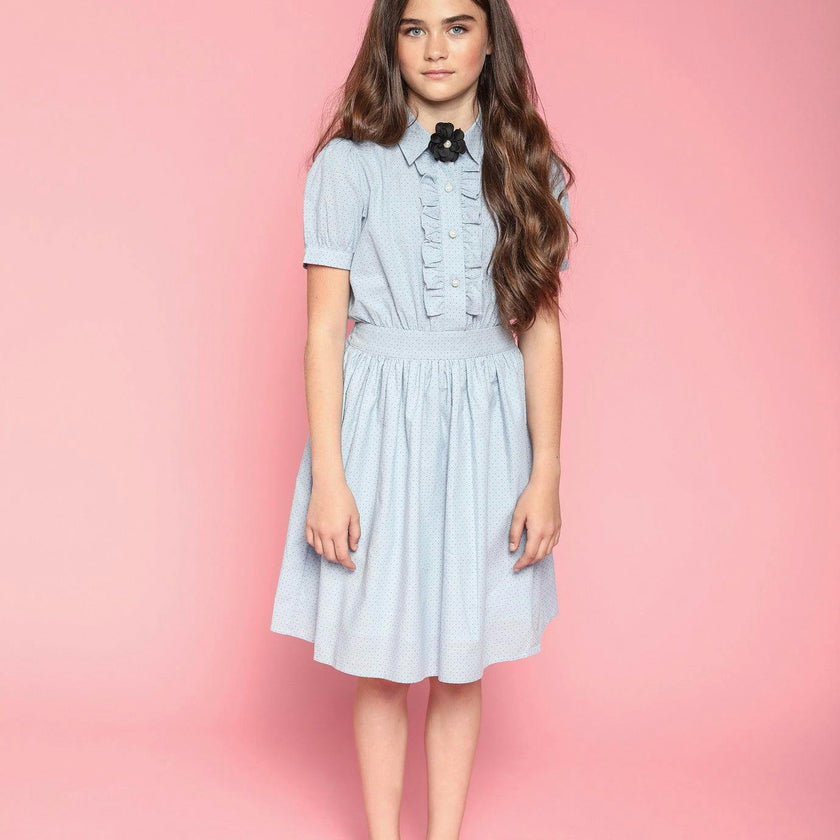 Ariel (blue stripe)
