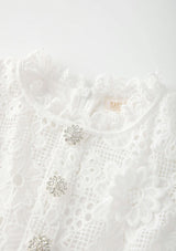 Lucinda Embroidered Mini Dress