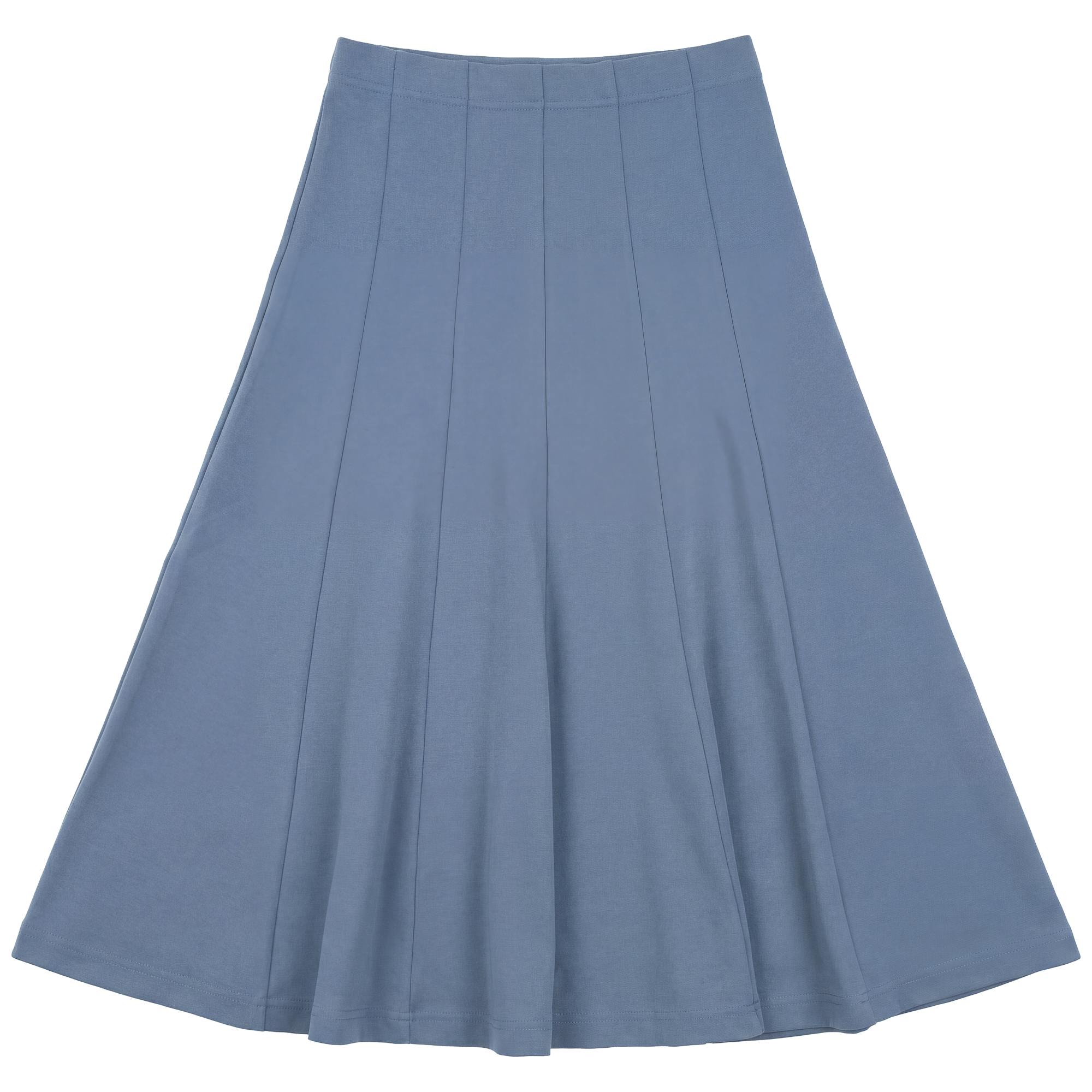 Midi Length Panelled Skirt