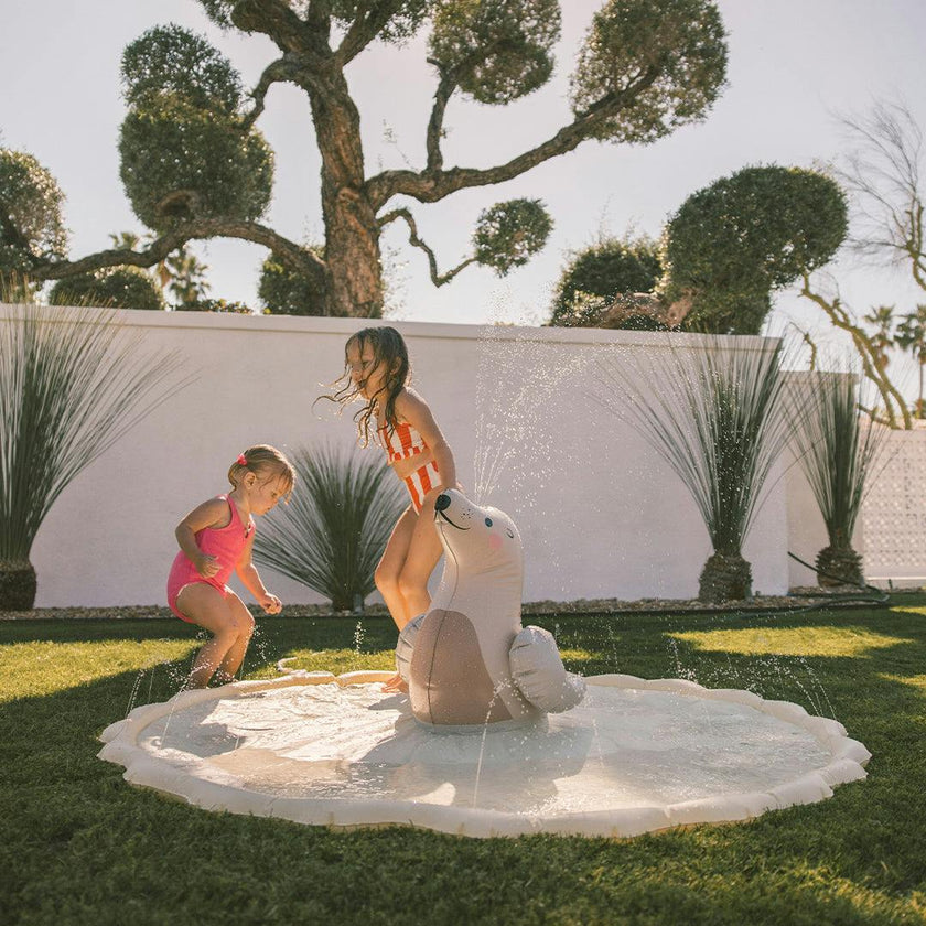Mini Seal Splash Pad