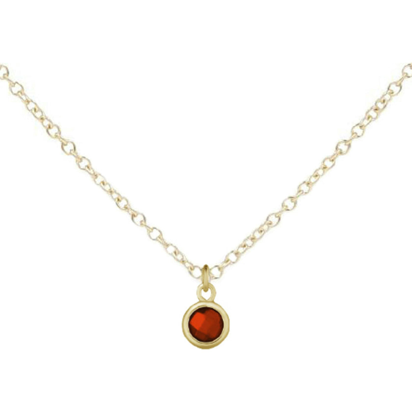 January Birthstone Necklace
