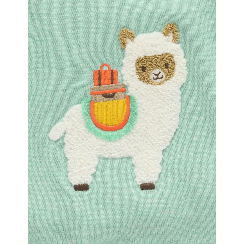 Llama Jumper Aloe Melange