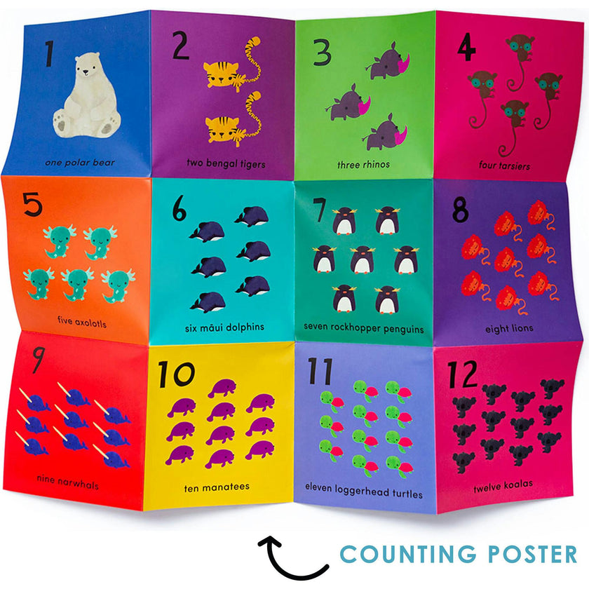 What's The Number? Number Flashcards